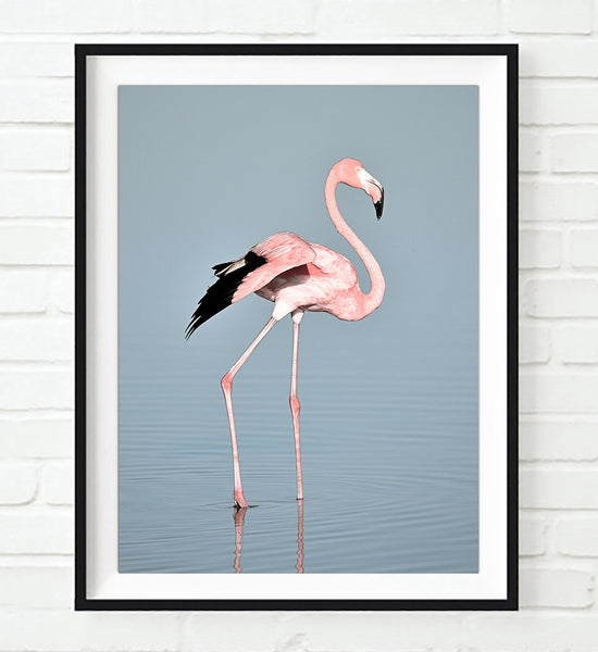 Cool Pop Art Flamingo Print | Surfing Flamingo Wall Art