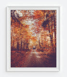 Autumn Leaves and Volkswagen Vw Bus Van on Countryside Road Fine Art Photography Print, Home & Wall Decor