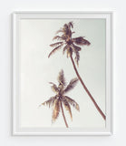Beach Themed Vintage Photography Prints, Set of 3, Coastal Wall Decor