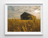 Barn Fine Art Photography, Set of 4, Farmhouse Wall Decor