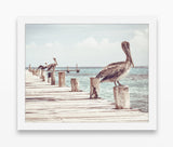 Pelicans on the Pier Dock Boardwalk Photography Print, Coastal Wall Decor
