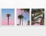 Palm Tree Themed Photography Prints, Set of 3, Coastal Wall Decor