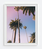 Palm Tree Themed Photography Prints, Set of 3, Coastal Wall Decor