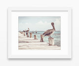 Pelicans on the Pier Dock Boardwalk Photography Print, Coastal Wall Decor