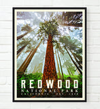 Redwood National Park California Art Print, Adventure Wall Art Decor Poster