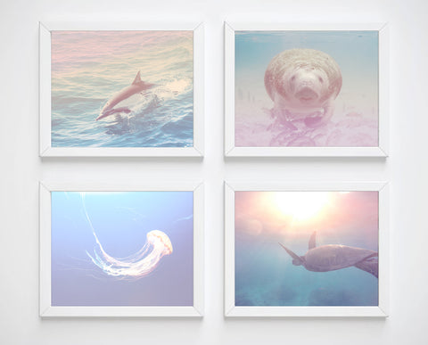 Sea Creatures Photography Prints, Set of 4, Nautical Wall Decor