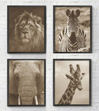 Safari Animals Photography Prints, Set of 4, Sepia African Wall Decor